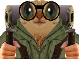 :chatrandonnee: