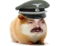 :Hamster_soldat: