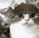 :ChatGuerre: