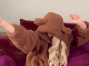 :Anya_9: