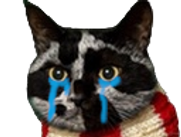 :Triss-Pleure: