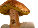 :Champicrie: