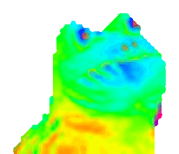 :frog: