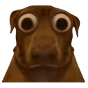 :teddibigeyes:
