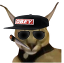 :Igoed_bedo: