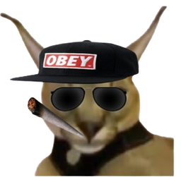 :Igoed_bedo: