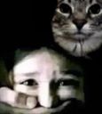 :chatkidnap: