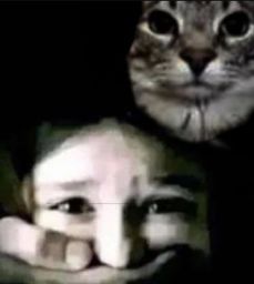 :chatkidnap: