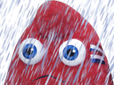 :pluie_jo:
