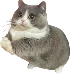 :Chappuie: