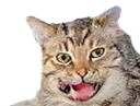 :seum: