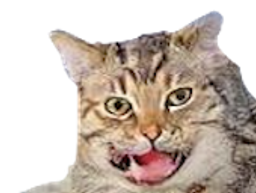 :seum: