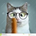 Petreine