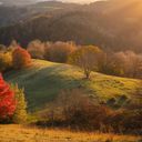 Automne-Eternel