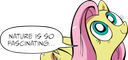 :fluttershy_nature: