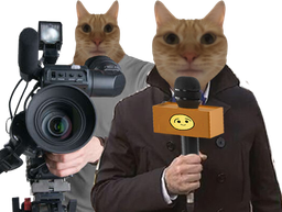 :journaliste: