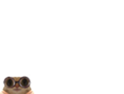:chat_lunettes_petit: