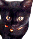 Canaillou