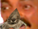 :lynx: