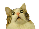 :chat_choc_: