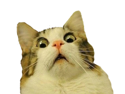 :chat_choc_: