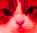 :chat-rageux4: