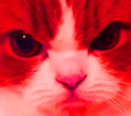 :chat-rageux4: