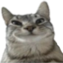 :Chathihi:
