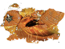 :citrouille_ecrase:
