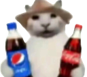 :Pepsicoca_cat: