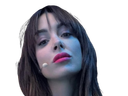 :Fanny_cash: