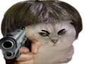 :Flingue_chat: