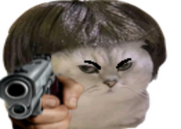 :Flingue_chat: