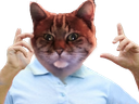 :ChatZoomLoco: