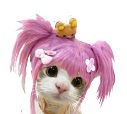 :Chat_galrose: