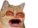 :sodium_eussou: