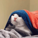 :zou: