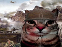 :CS_Guerre: