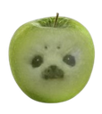 :pomme_chien: