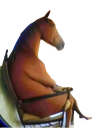 :cheval_assi2: