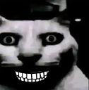:Chatdingue: