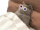 :Chadorgneu: