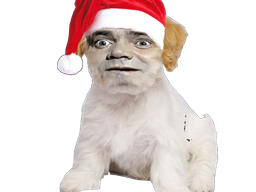 :Chien_Bourdon_Noel: