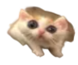 :Crapaud-chat: