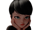 :marinette_fache: