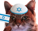 :ChatZoomIsrael2:
