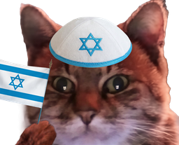 :ChatZoomIsrael2: