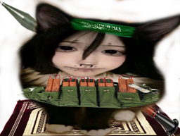 :chatexplosif: