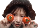 :hayoung_tomates: