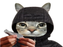 :CS_Roule: